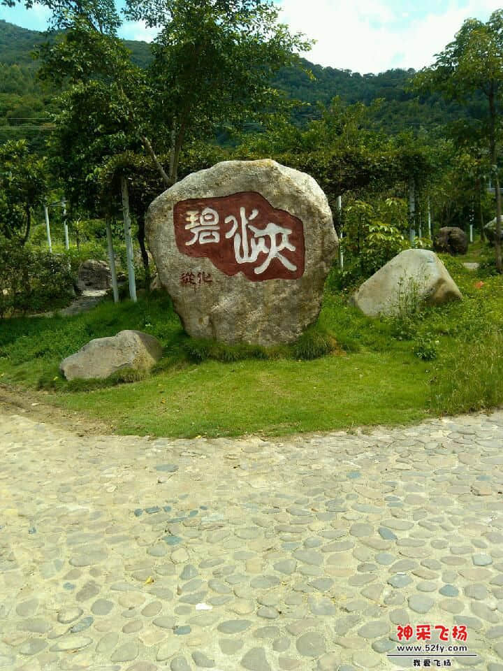 IMG_20120826_112035.jpg