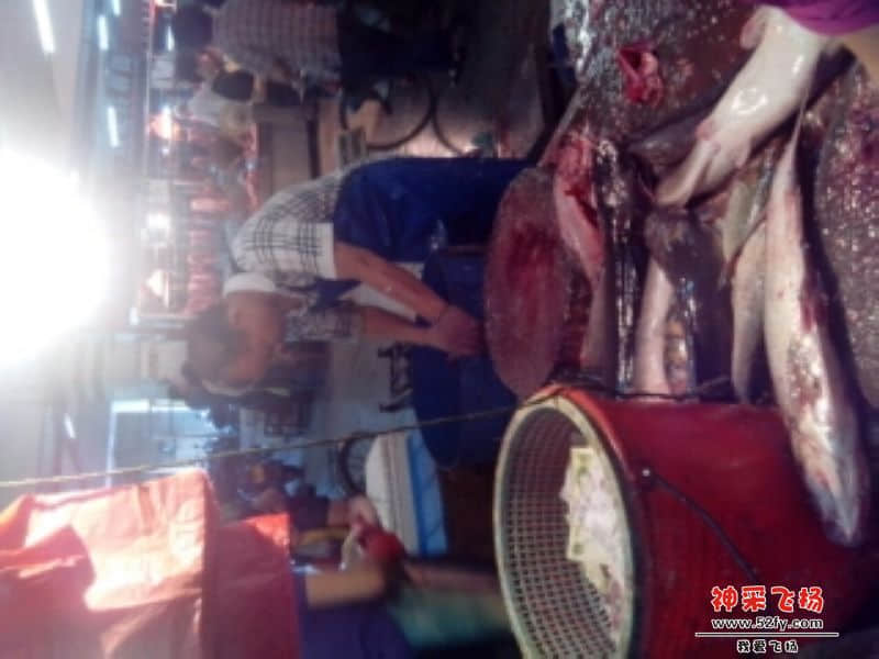 忙啊点解又甘多既