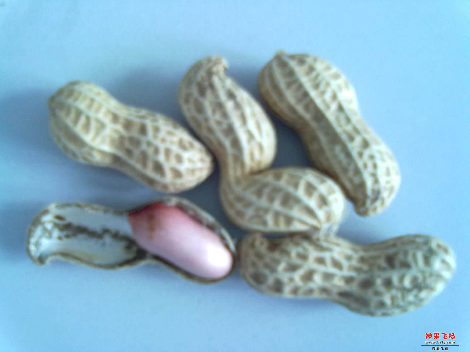 20120922453.jpg