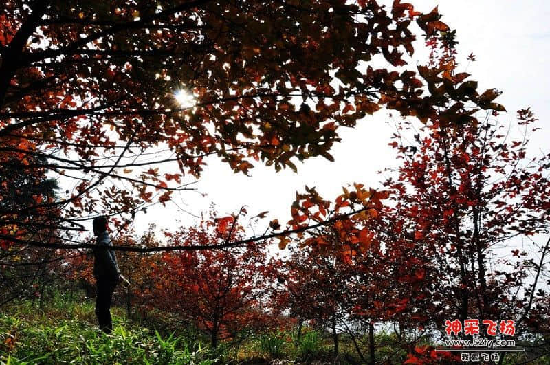 从化石门森林公园