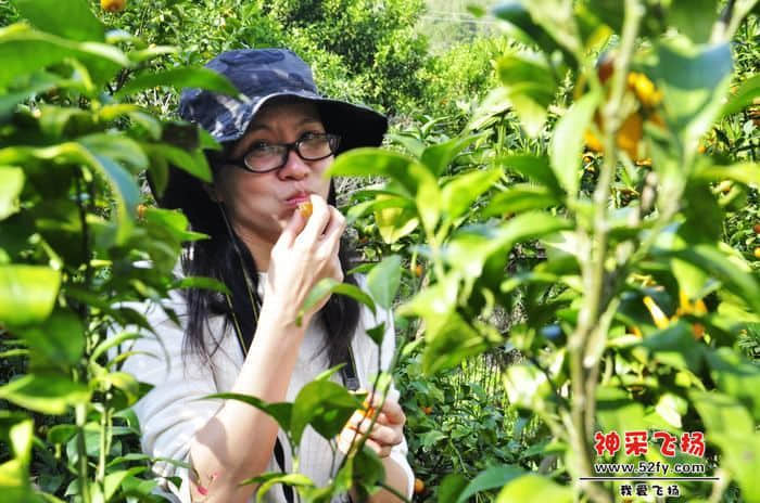 nEO_IMG_照片 027.jpg