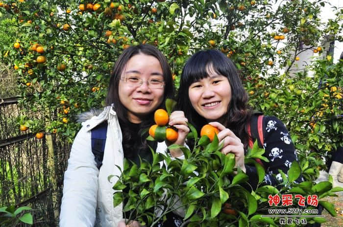 nEO_IMG_照片 052.jpg