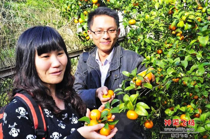 nEO_IMG_照片 050.jpg