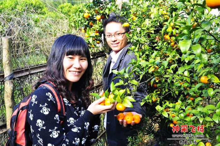 nEO_IMG_照片 045.jpg