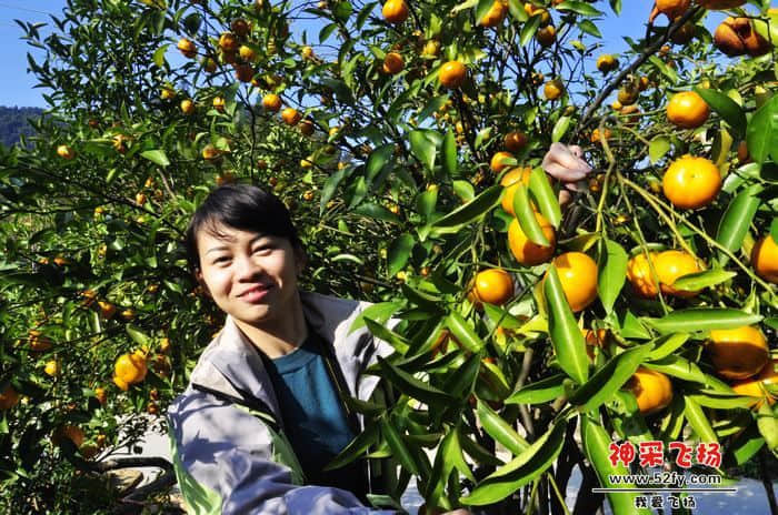 nEO_IMG_照片 243.jpg