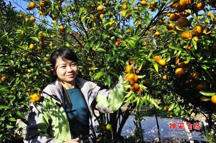 nEO_IMG_照片 238.jpg