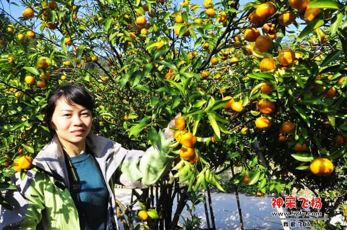 nEO_IMG_照片 237.jpg