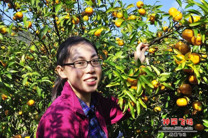 nEO_IMG_照片 249.jpg