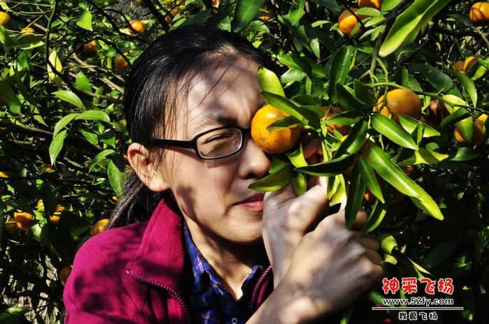 nEO_IMG_照片 254.jpg