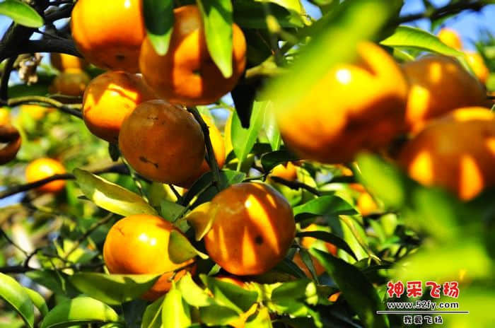 nEO_IMG_照片 258.jpg