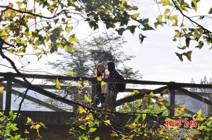 nEO_IMG_照片 096.jpg