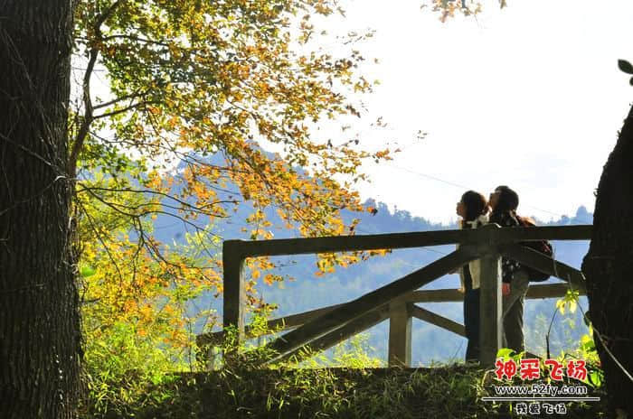 nEO_IMG_照片 101.jpg