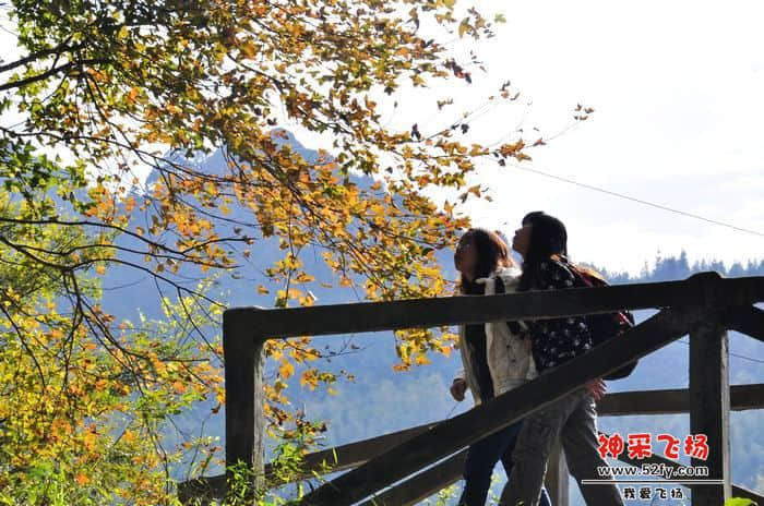 nEO_IMG_照片 102.jpg