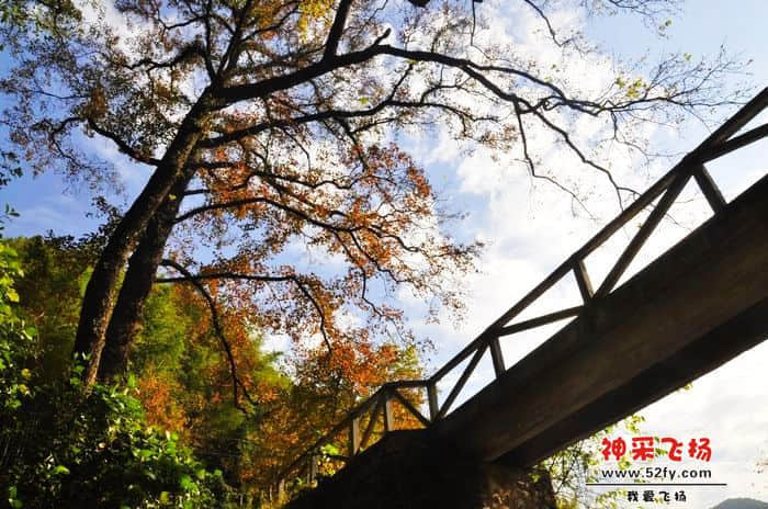 nEO_IMG_照片 109.jpg