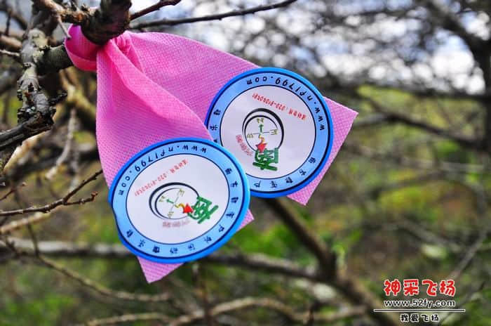 nEO_IMG_照片 080.jpg