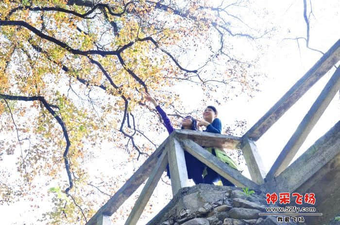 nEO_IMG_照片 120.jpg