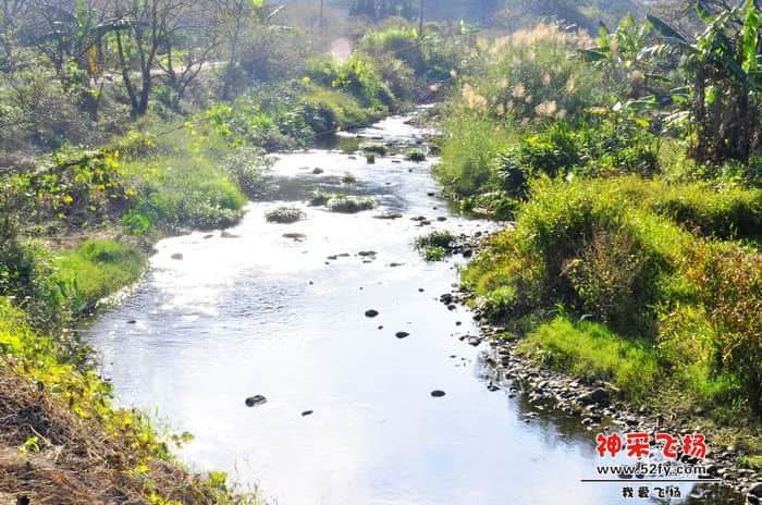 nEO_IMG_照片 186.jpg