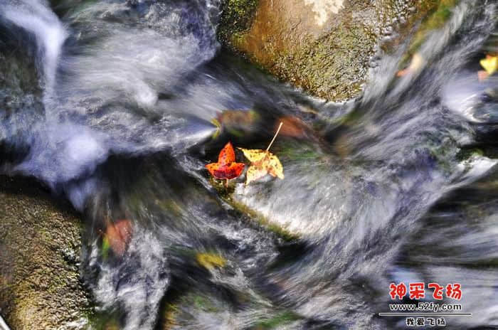 nEO_IMG_照片 171.jpg