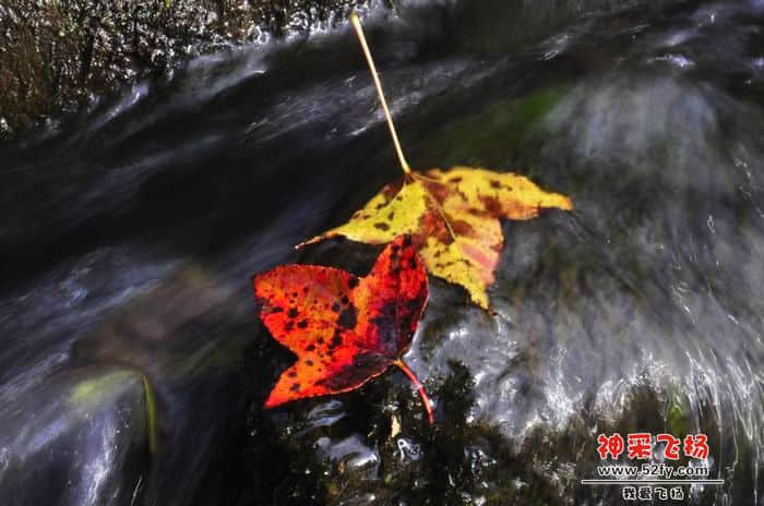 nEO_IMG_照片 158.jpg