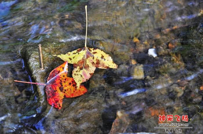 nEO_IMG_照片 148.jpg