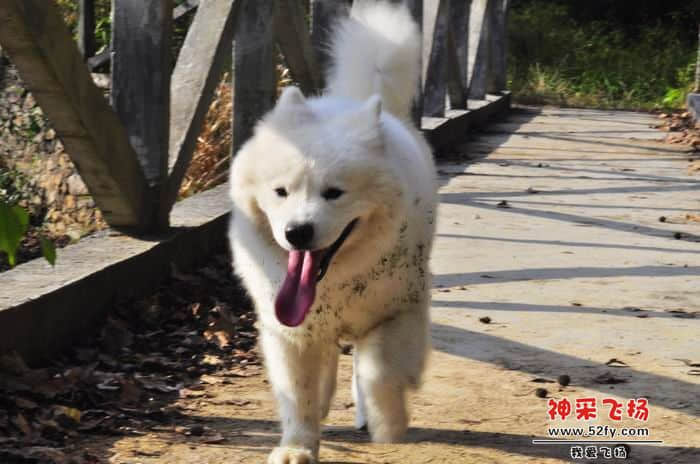 nEO_IMG_照片 181.jpg