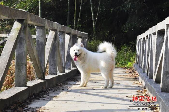 nEO_IMG_照片 176.jpg