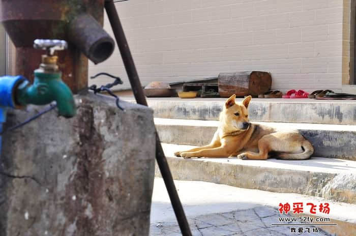 nEO_IMG_照片 190.jpg