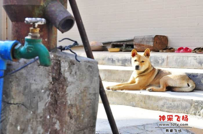 nEO_IMG_照片 188.jpg