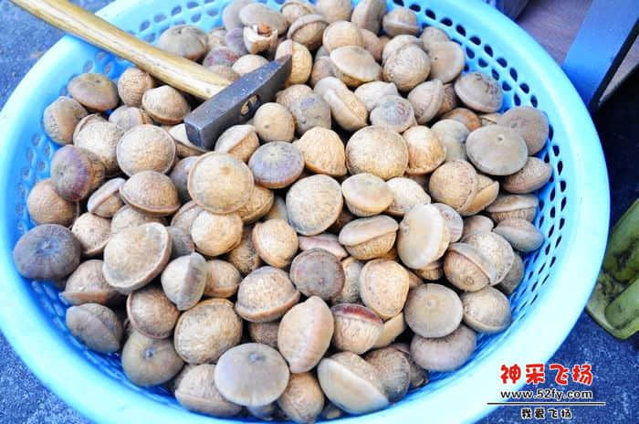 nEO_IMG_照片 311.jpg