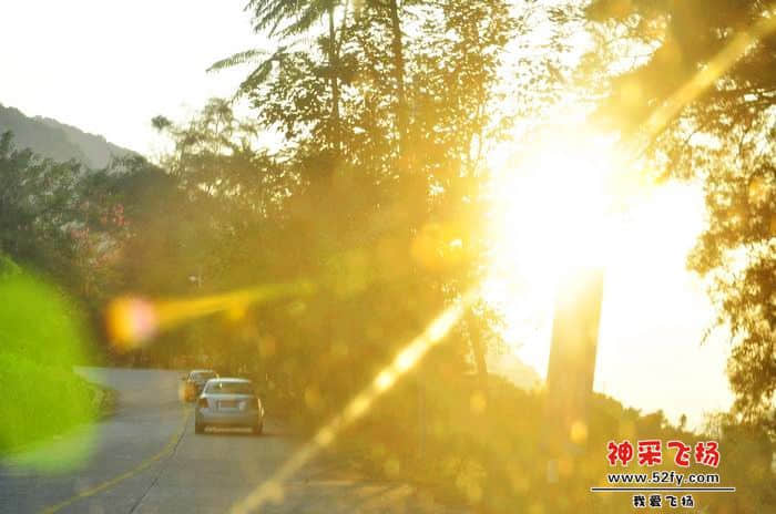 nEO_IMG_照片 317.jpg