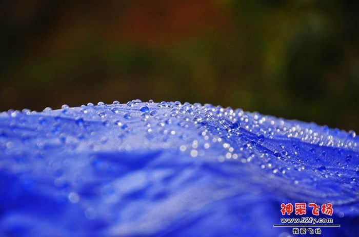 nEO_IMG_照片 591.jpg