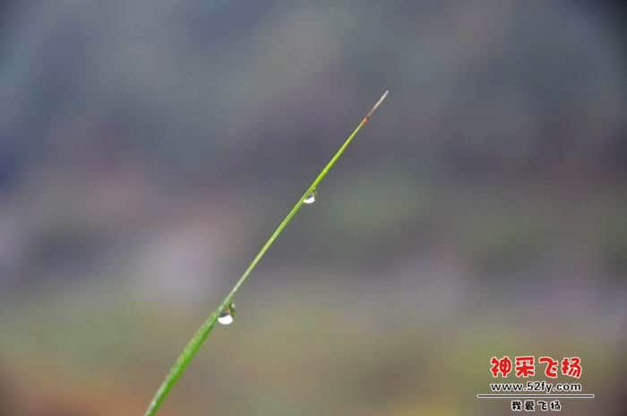 nEO_IMG_照片 586.jpg