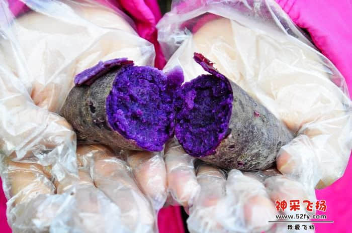 nEO_IMG_照片 617.jpg