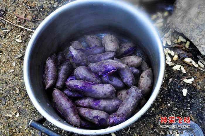 nEO_IMG_照片 614.jpg