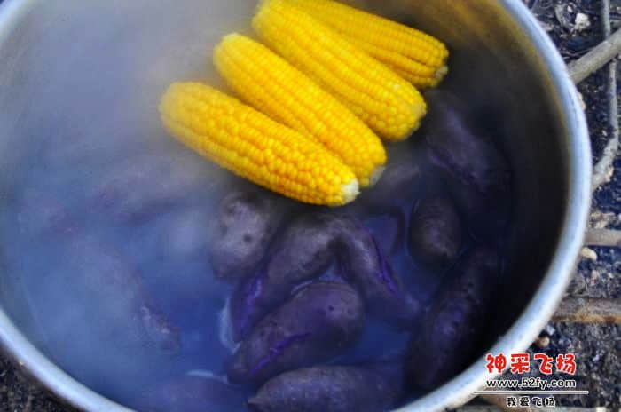 nEO_IMG_照片 610.jpg