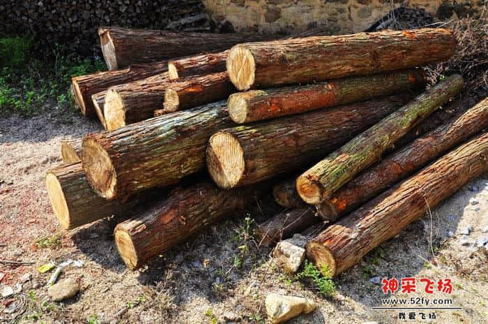 nEO_IMG_照片 639.jpg