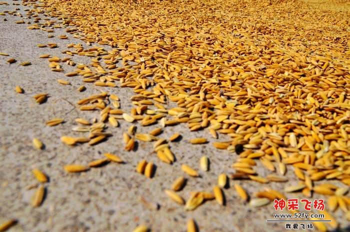 nEO_IMG_照片 635.jpg