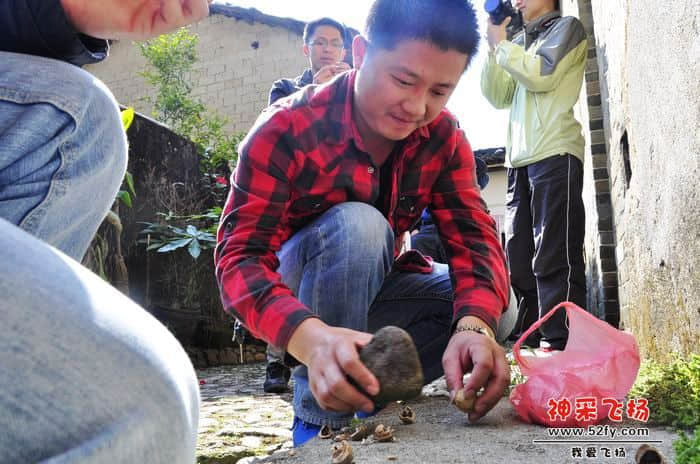 nEO_IMG_照片 695.jpg