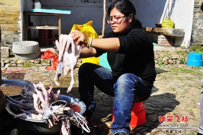 nEO_IMG_照片 722.jpg