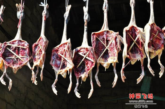 nEO_IMG_照片 708.jpg