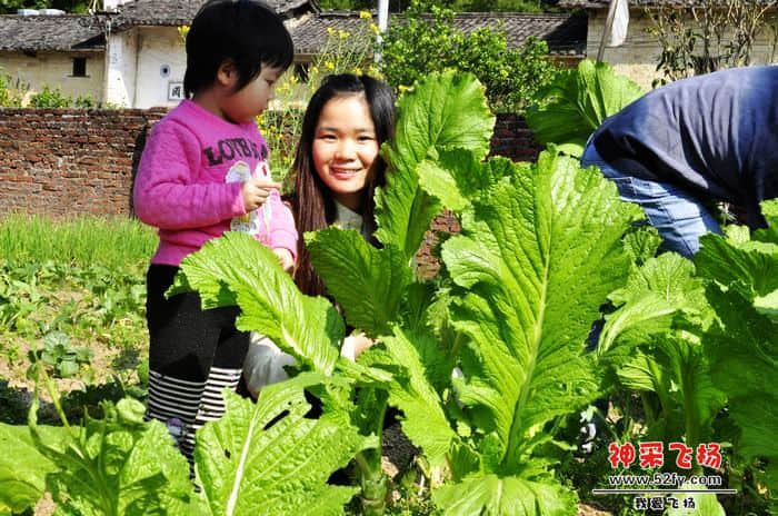 nEO_IMG_照片 738.jpg