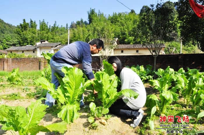 nEO_IMG_照片 732.jpg