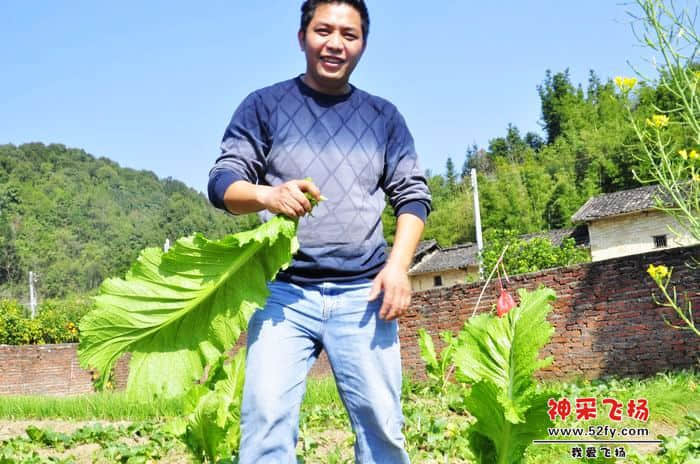 nEO_IMG_照片 729.jpg