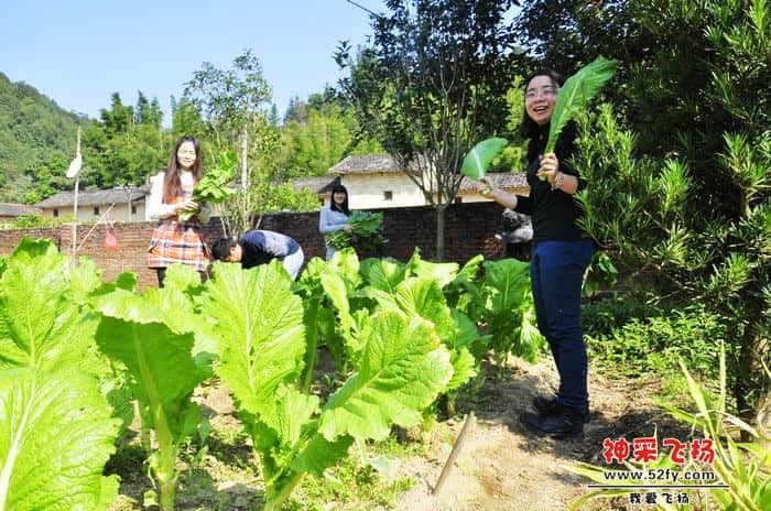 nEO_IMG_照片 753.jpg