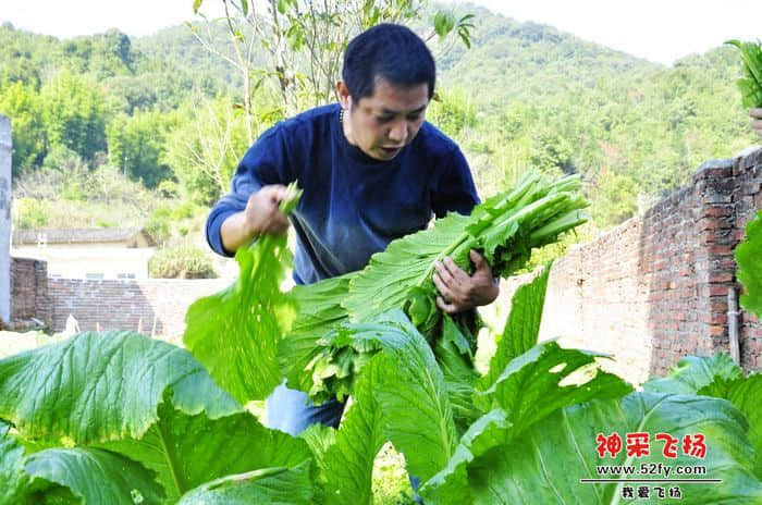 nEO_IMG_照片 751.jpg