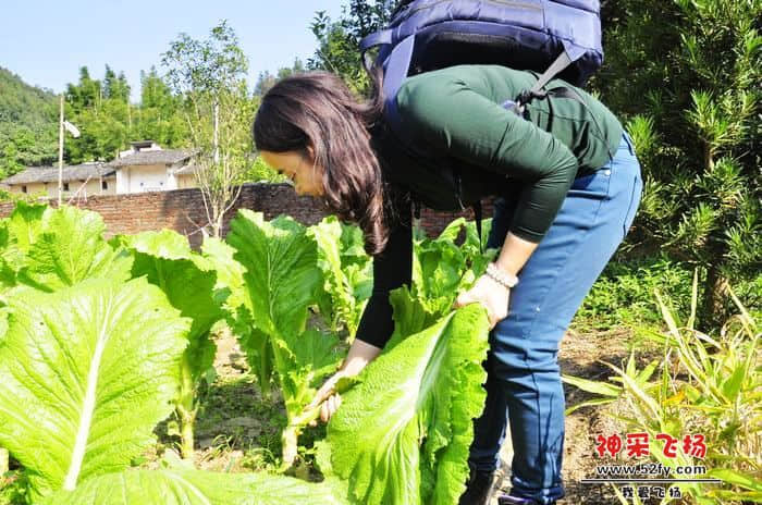 nEO_IMG_照片 767.jpg