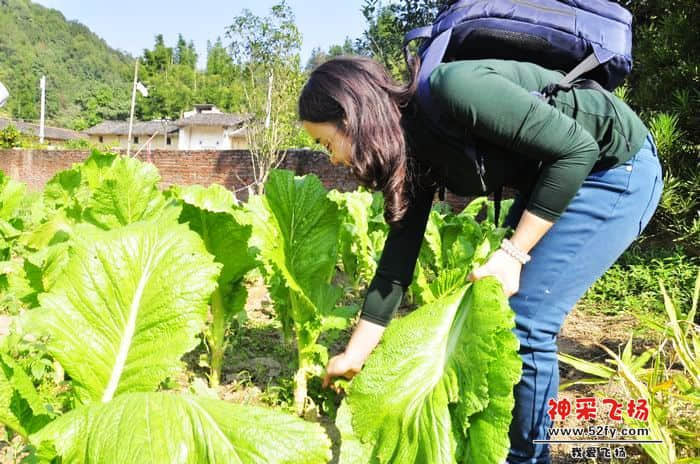 nEO_IMG_照片 766.jpg