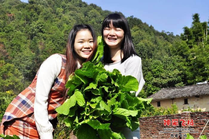 nEO_IMG_照片 774.jpg