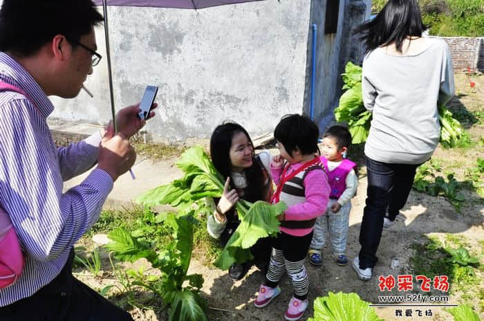 nEO_IMG_照片 791.jpg