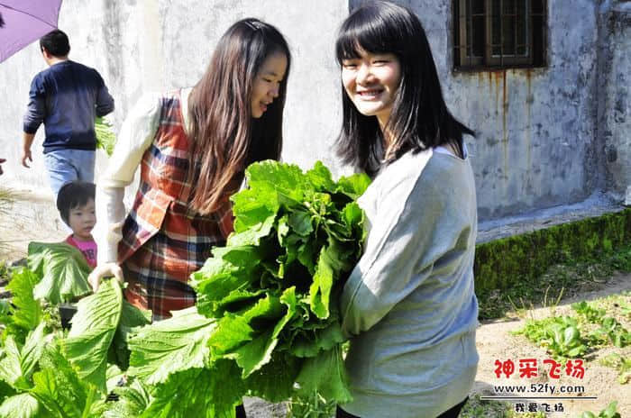 nEO_IMG_照片 785.jpg